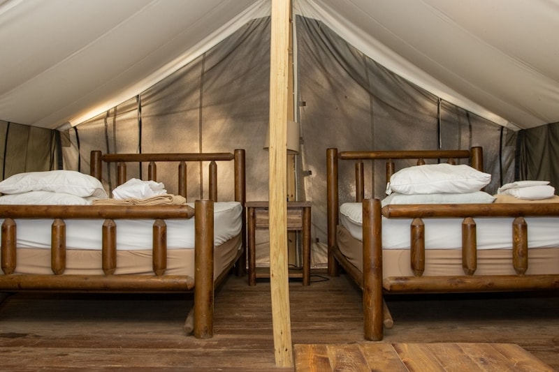 Safari Tent-2